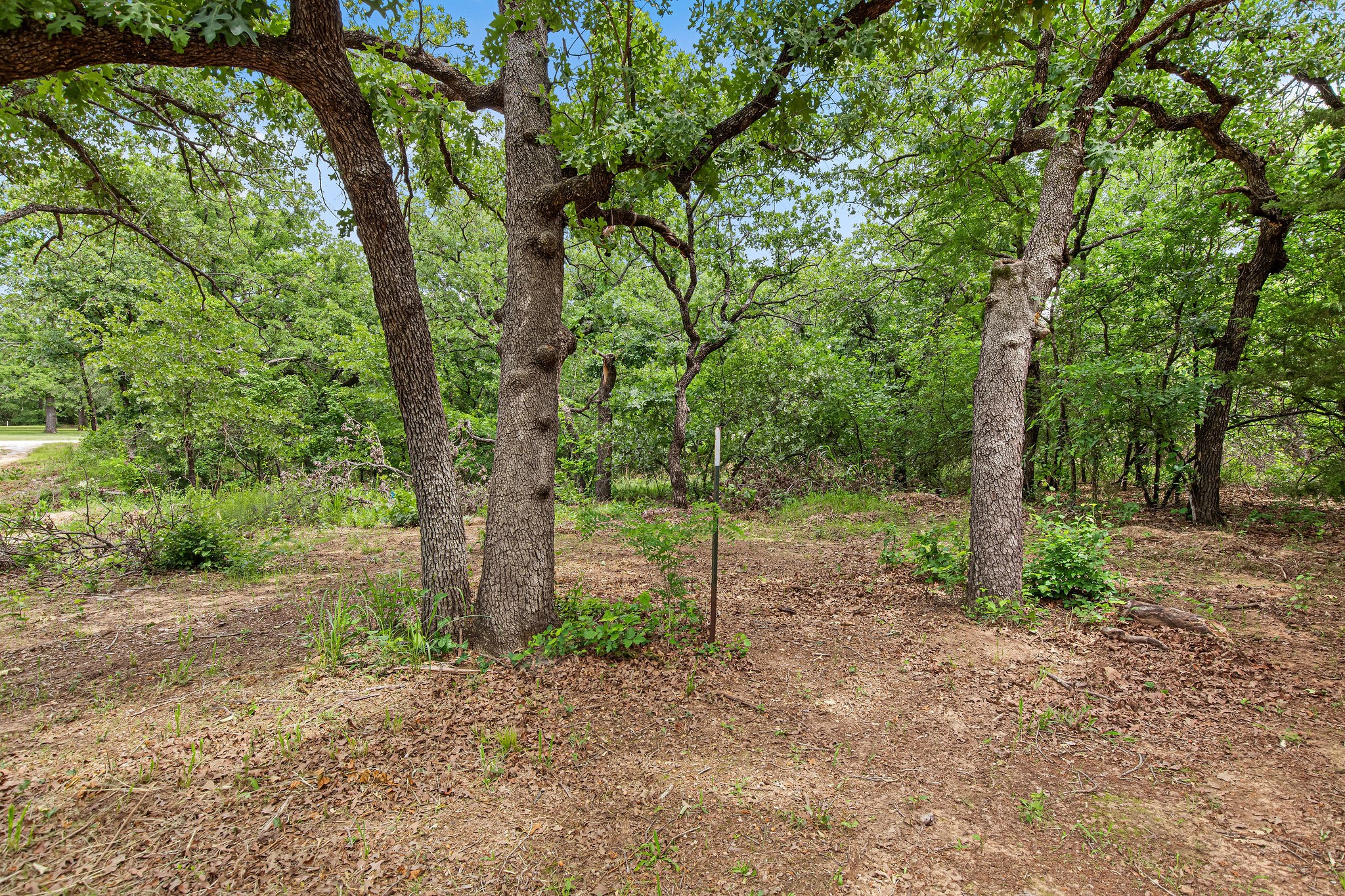 Lot 3 Private Road 3204 Bridgeport TX 76426
