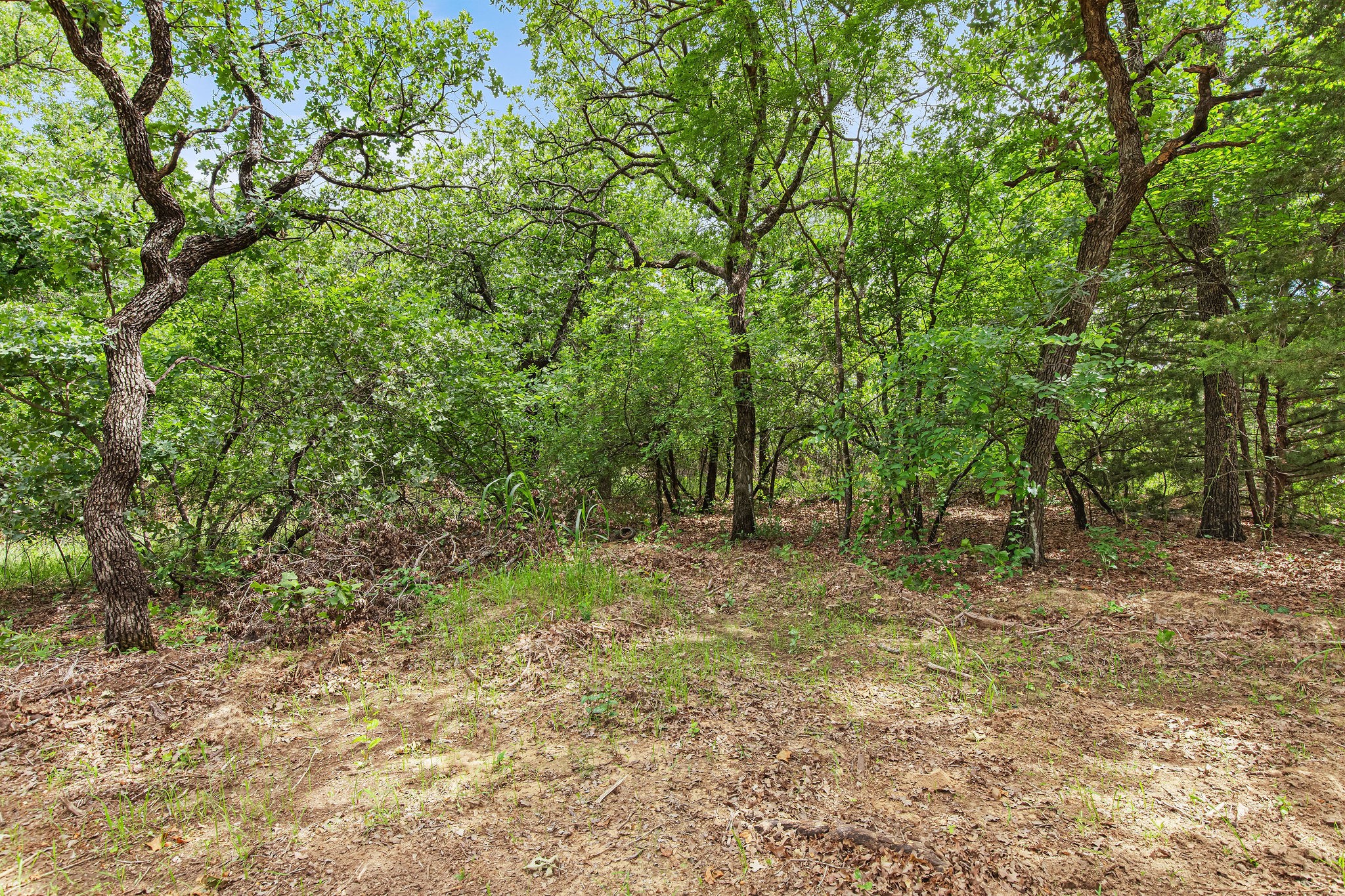 Lot 3 Private Road 3204 Bridgeport TX 76426