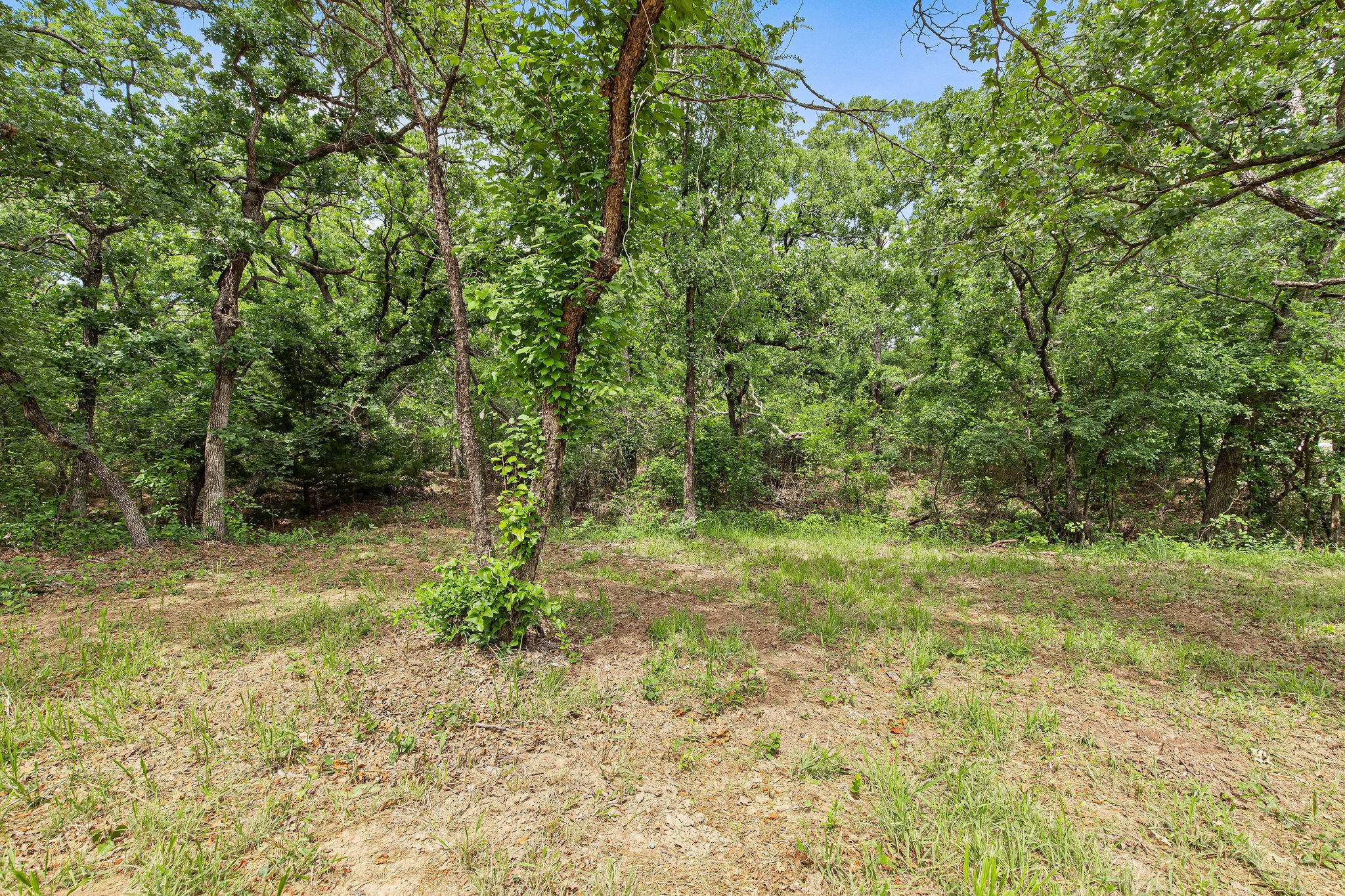 Lot 3 Private Road 3204 Bridgeport TX 76426