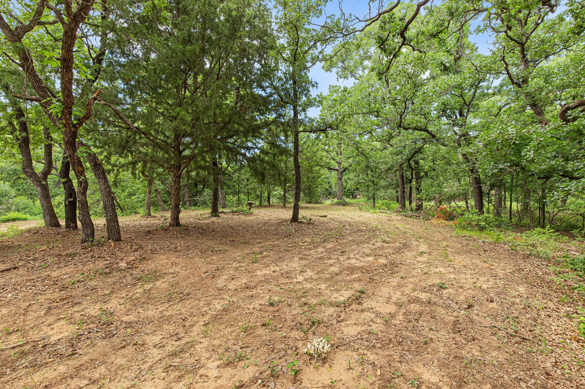 Lot 3 Private Road 3204 Bridgeport TX 76426