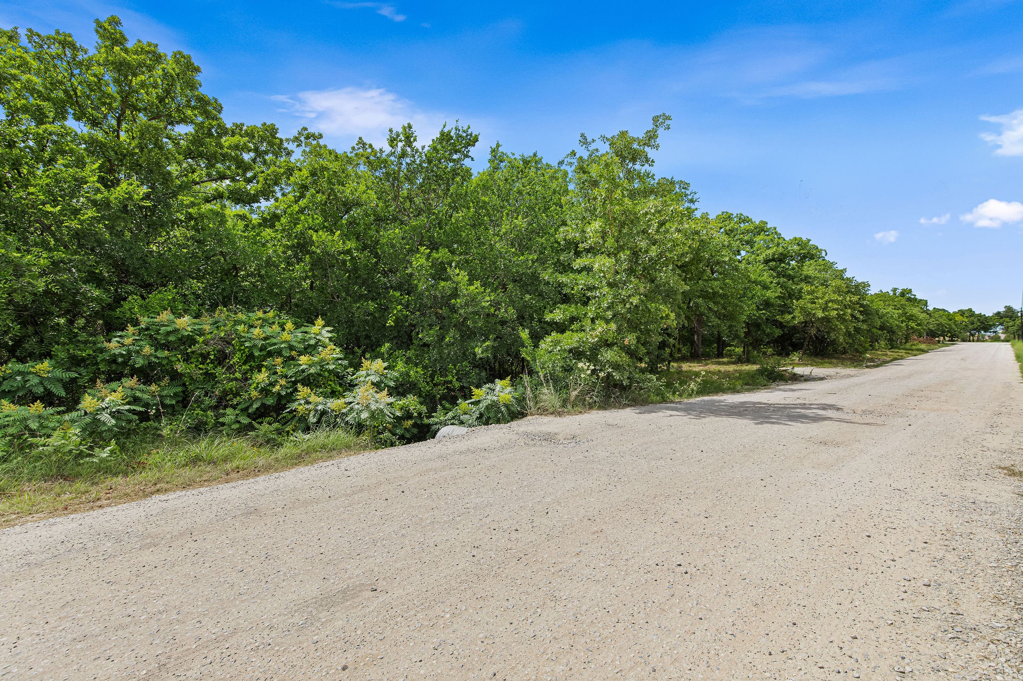 Lot 3 Private Road 3204 Bridgeport TX 76426