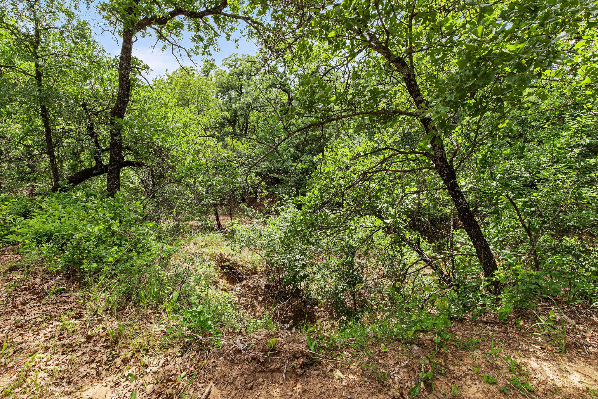 Lot 3 Private Road 3204 Bridgeport TX 76426