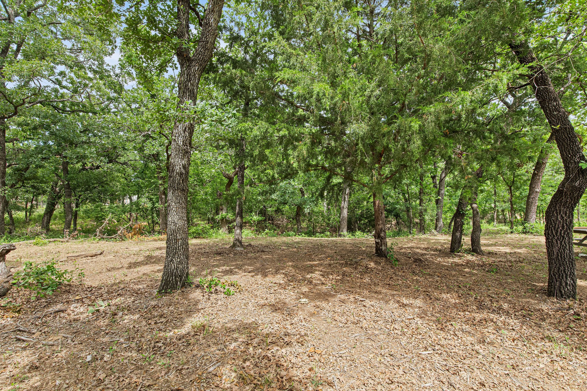 Lot 3 Private Road 3204 Bridgeport TX 76426