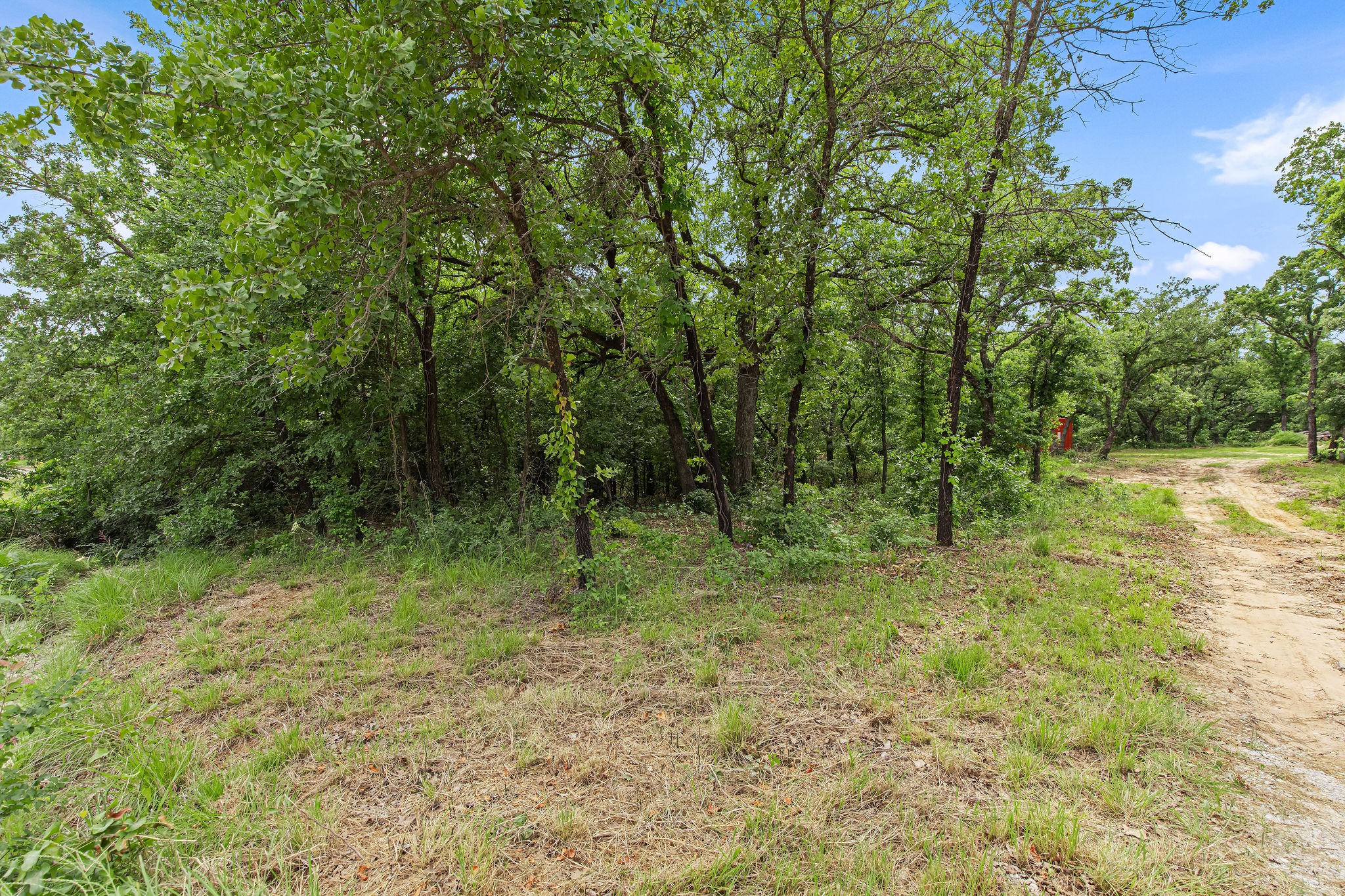 Lot 3 Private Road 3204 Bridgeport TX 76426