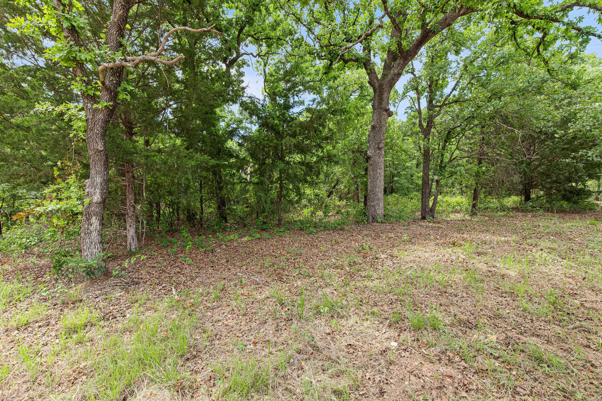 Lot 3 Private Road 3204 Bridgeport TX 76426