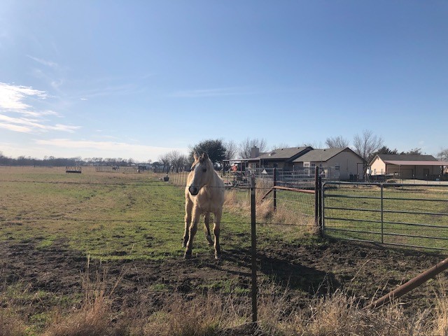 9061 Crow Wright Road Sanger TX 76266