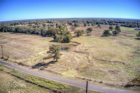 Tbd Tract A County Road 1468 Quitman TX 75783