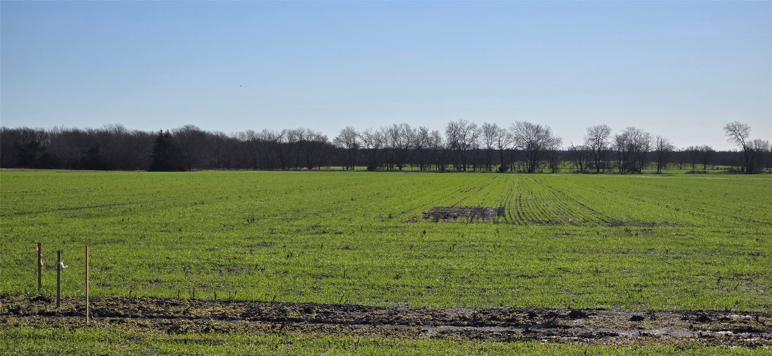 197 Acres Fm 548 Forney TX 75126