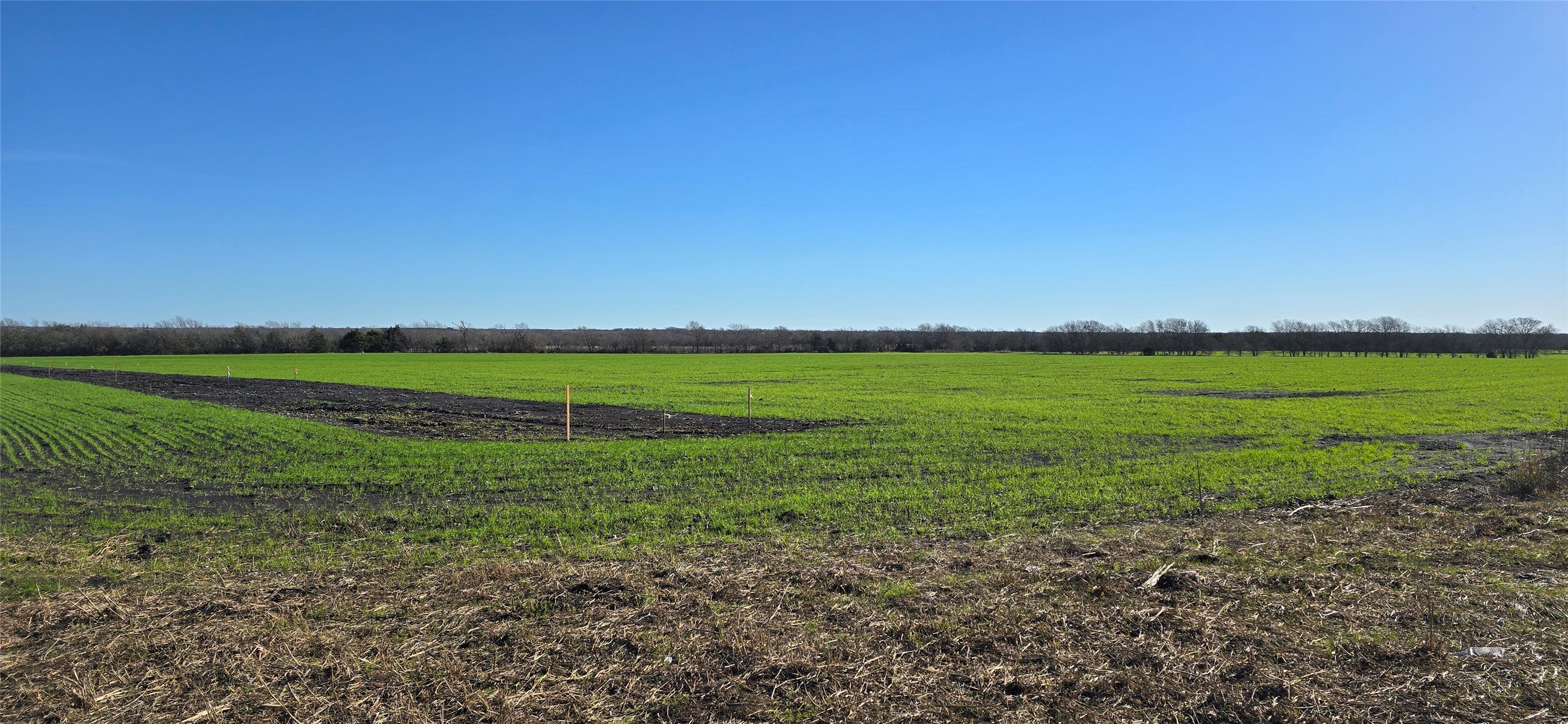 197 Acres Fm 548 Forney TX 75126