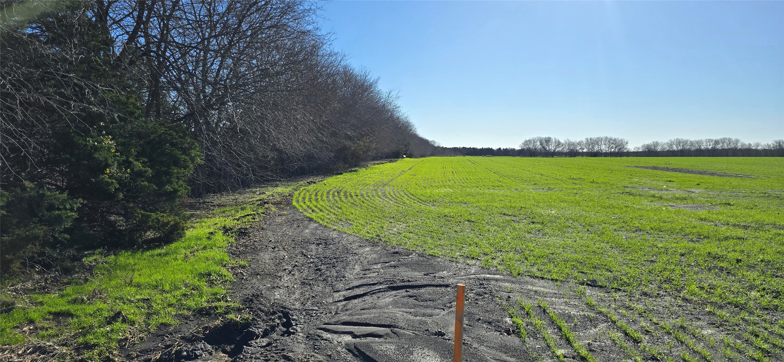 197 Acres Fm 548 Forney TX 75126