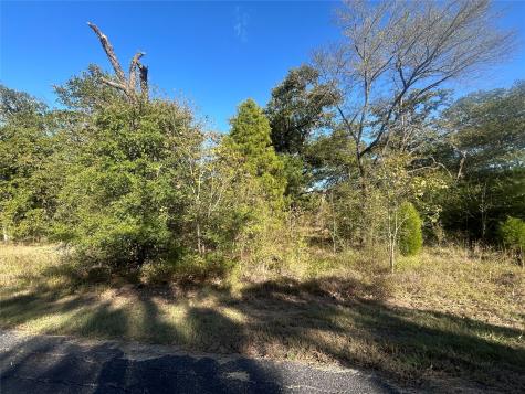 57 Point Lavista Malakoff TX 75148
