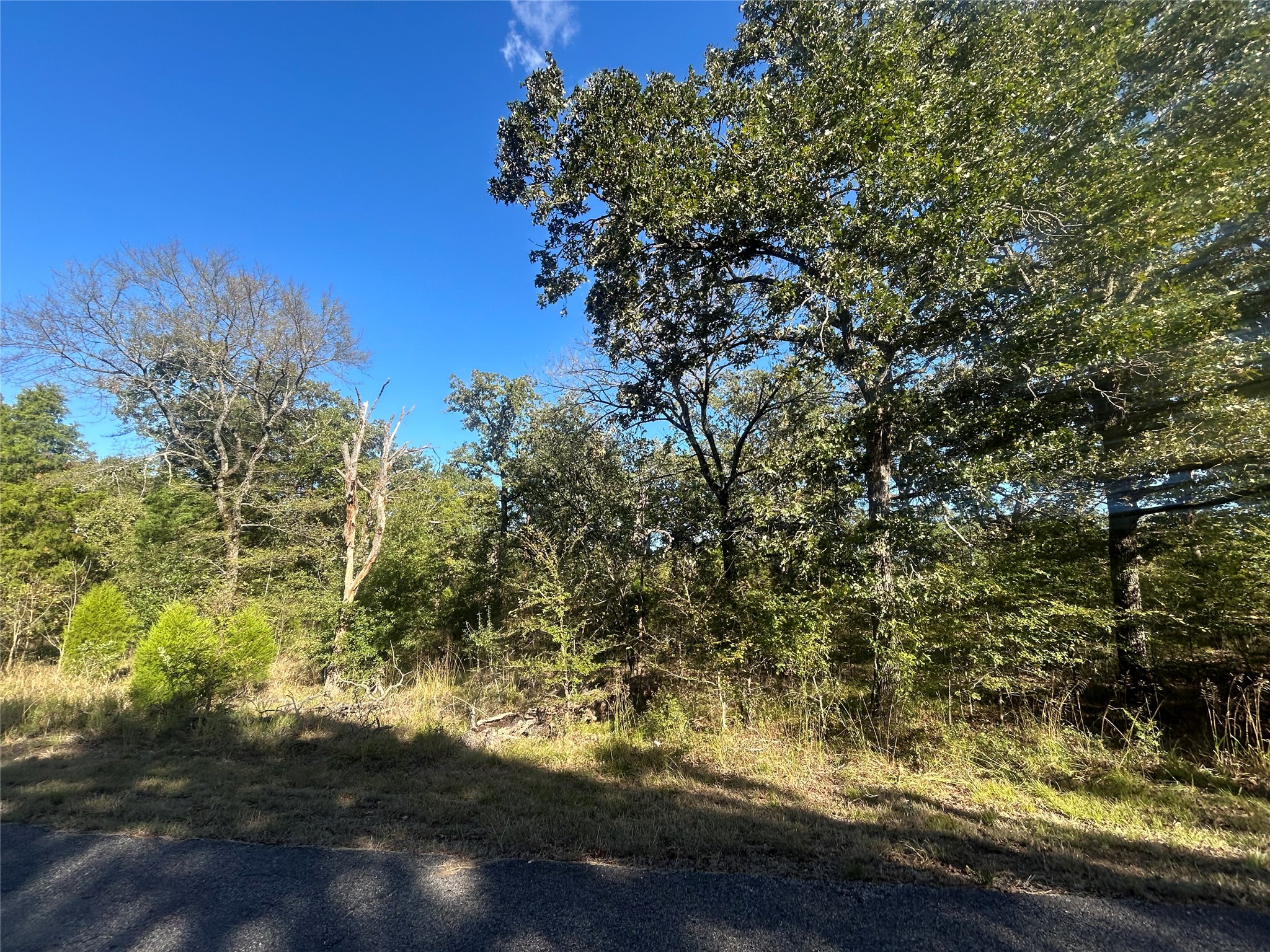 57 Point Lavista Malakoff TX 75148