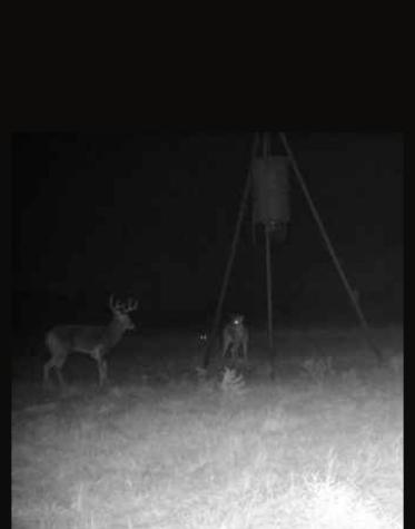 Cr 209 County Road 209 Wingate TX 79566