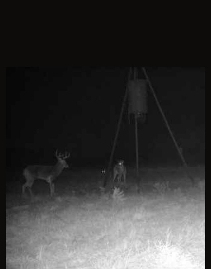 Cr 209 County Road 209 Wingate TX 79566