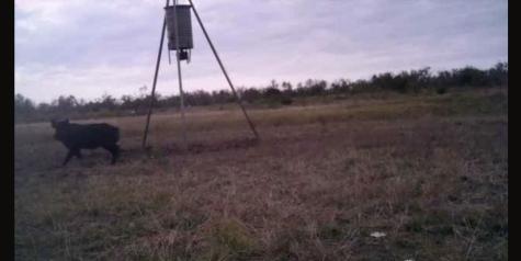 CR 209 County Road 209 Wingate TX 79566