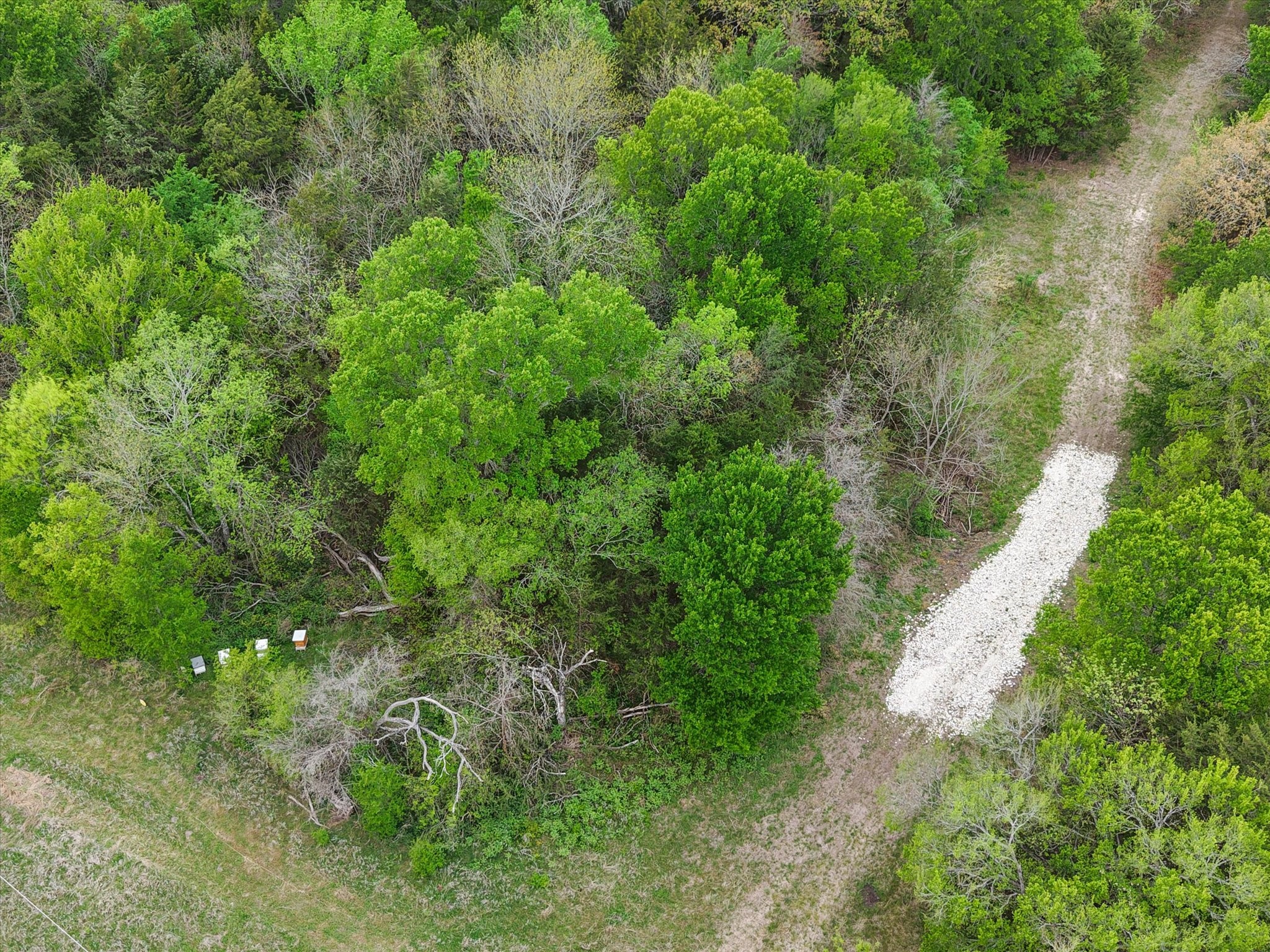 Tbd Fm 709 S Purdon TX 76679