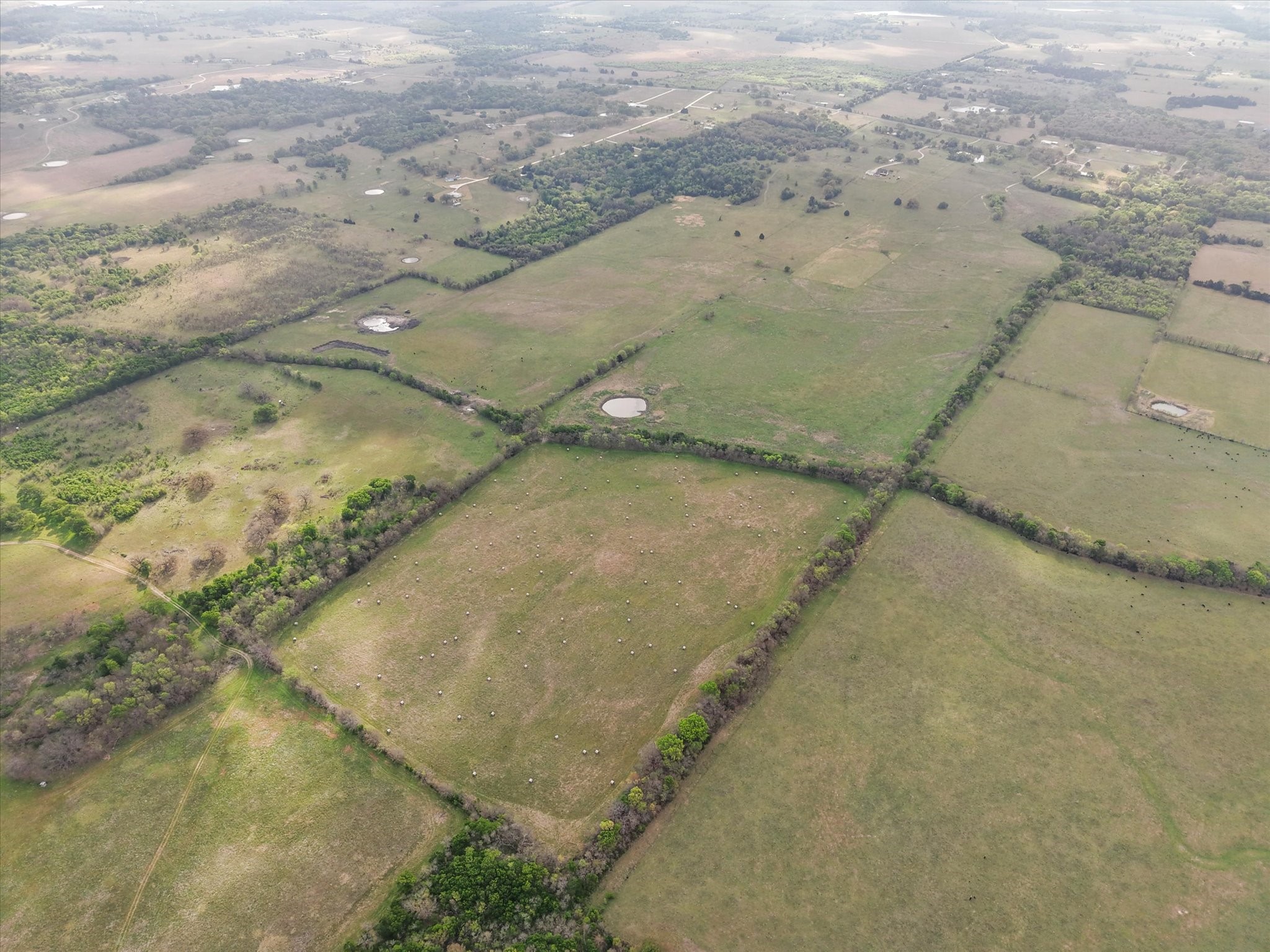 Tbd Fm 709 S Purdon TX 76679