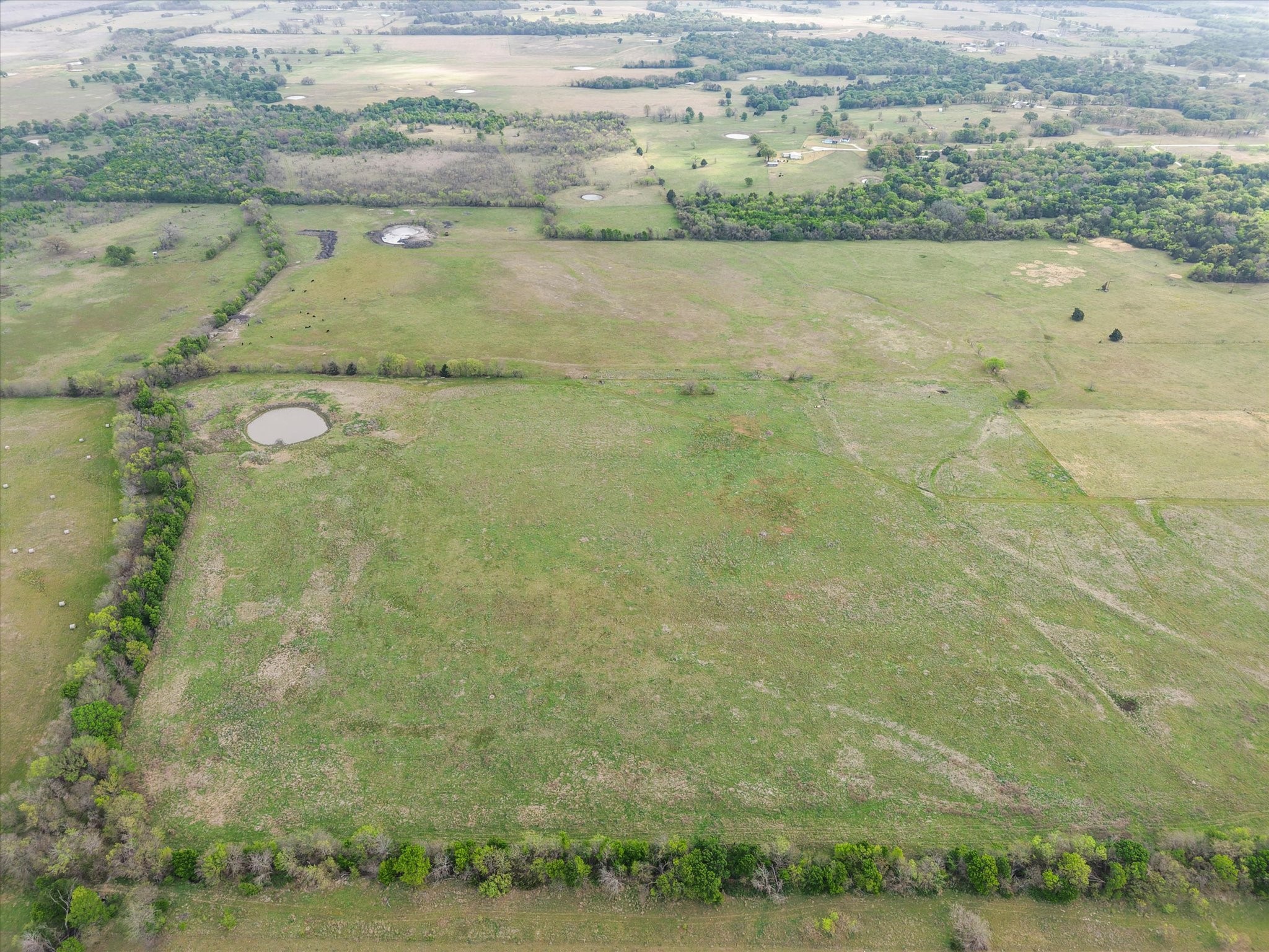 Tbd Fm 709 S Purdon TX 76679