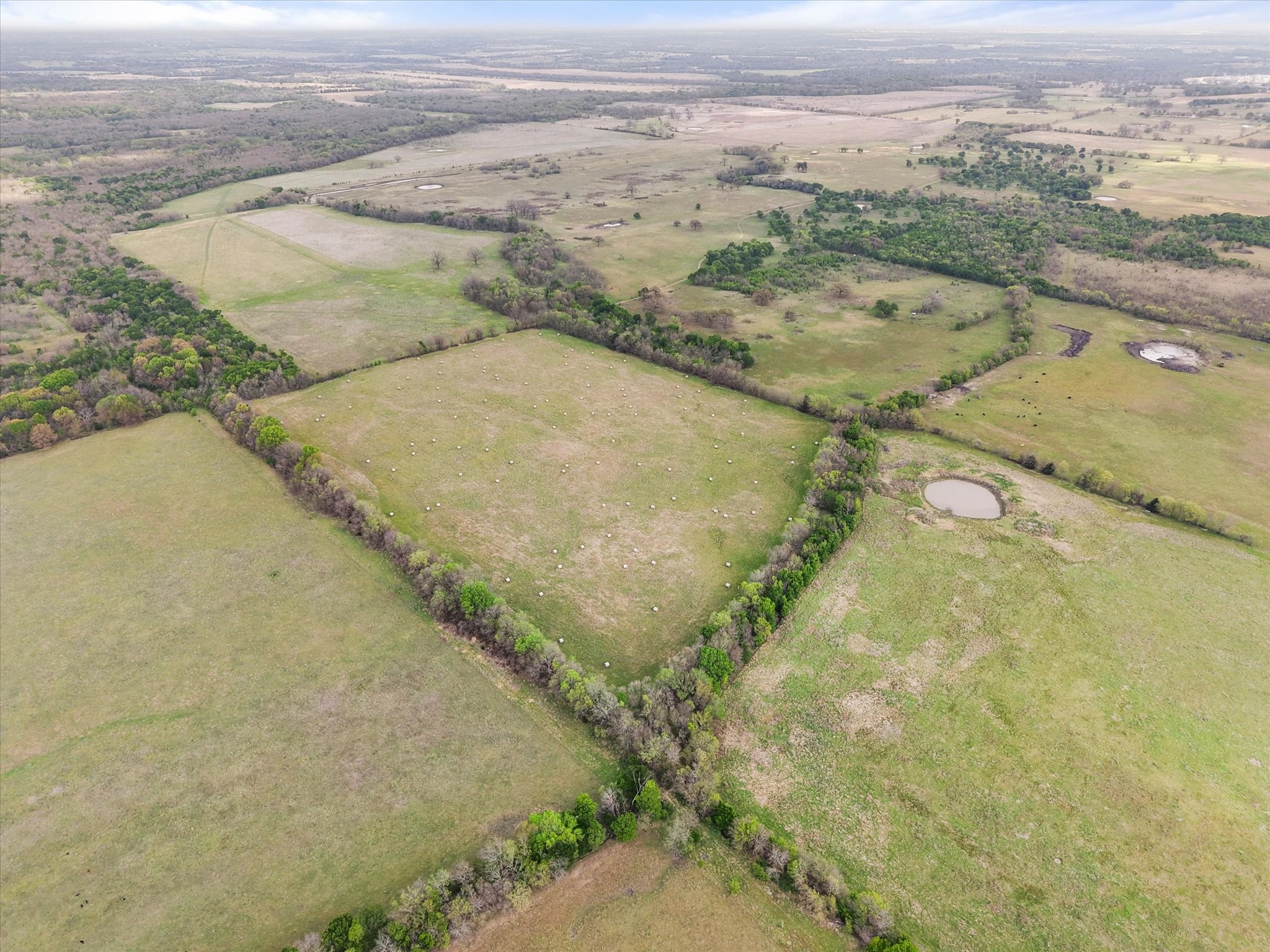 Tbd Fm 709 S Purdon TX 76679