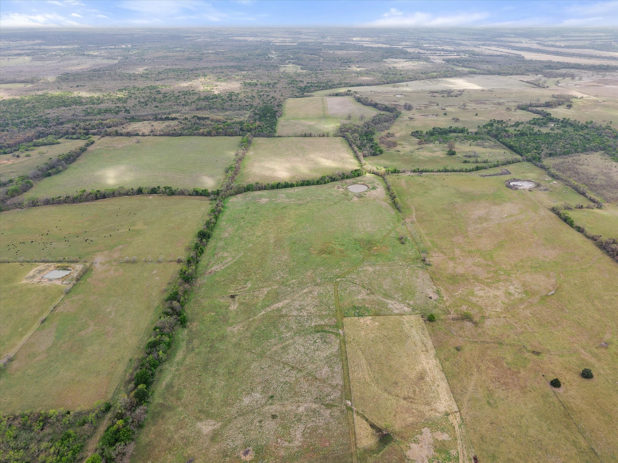 Tbd Fm 709 S Purdon TX 76679