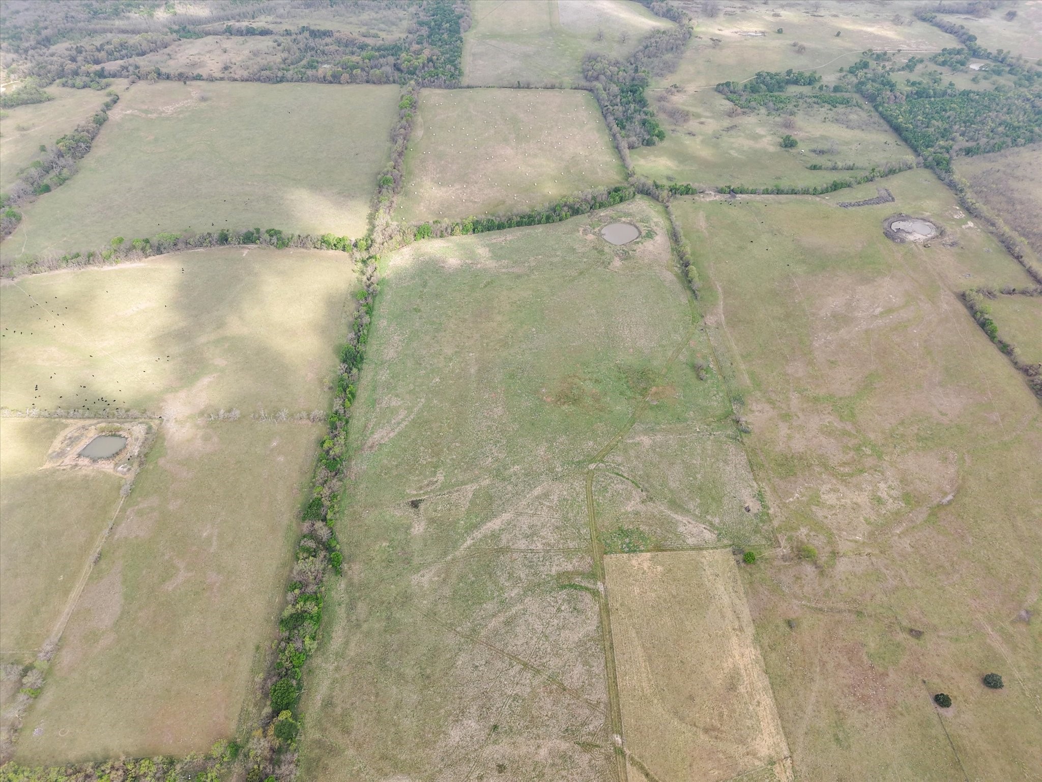 Tbd Fm 709 S Purdon TX 76679
