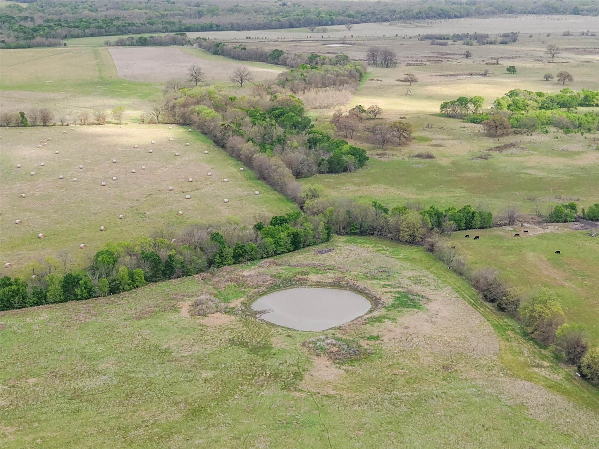 Tbd Fm 709 S Purdon TX 76679