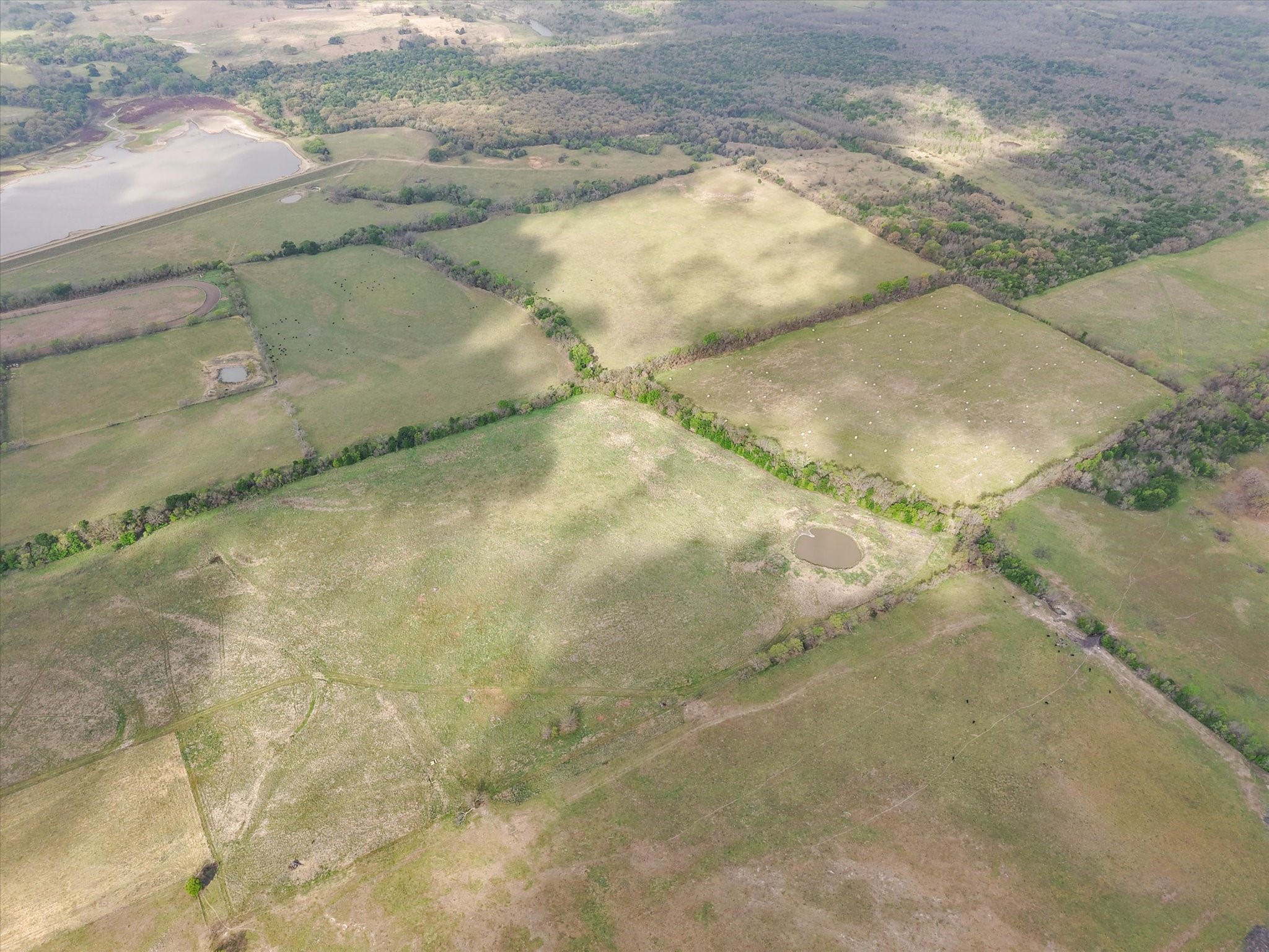 Tbd Fm 709 S Purdon TX 76679