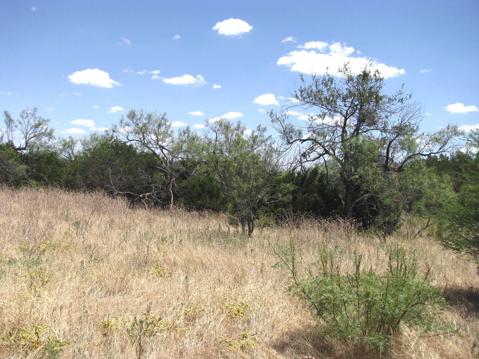 Tbd-lot 23 Ph 1 Pr4218 Evant TX 76525