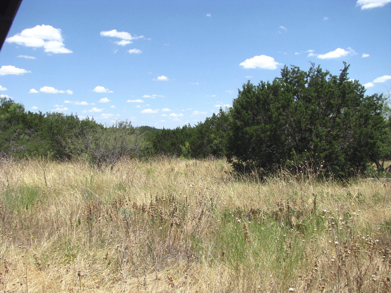 Tbd-lot 23 Ph 1 Pr4218 Evant TX 76525