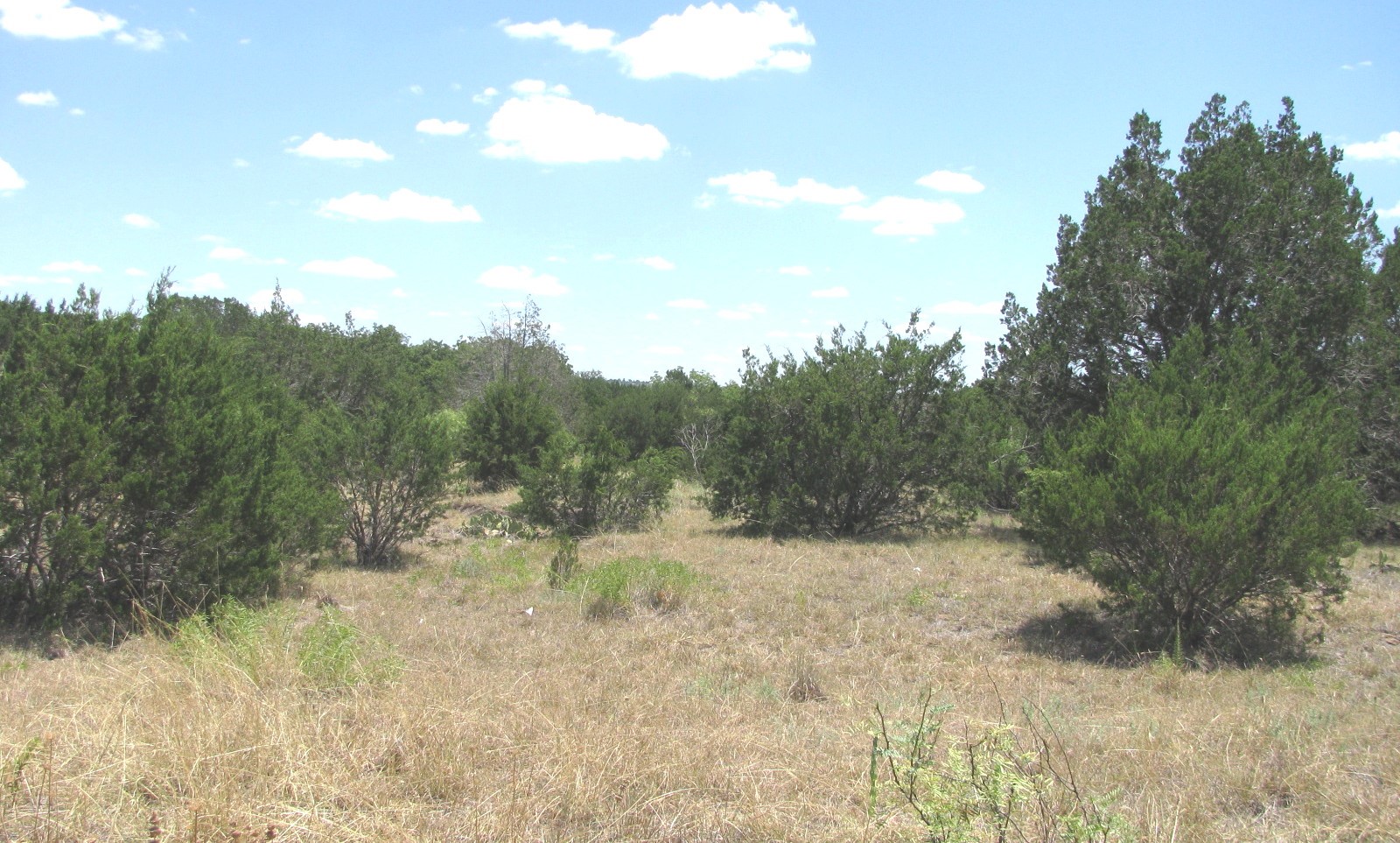 Tbd-lot 23 Ph 1 Pr4218 Evant TX 76525