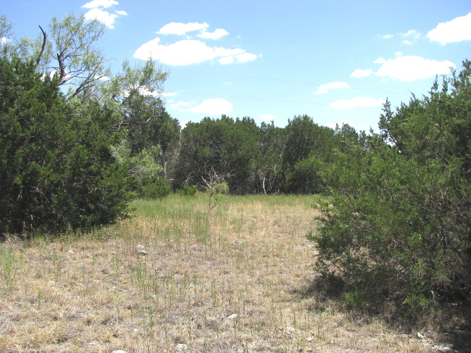 Tbd-lot 23 Ph 1 Pr4218 Evant TX 76525