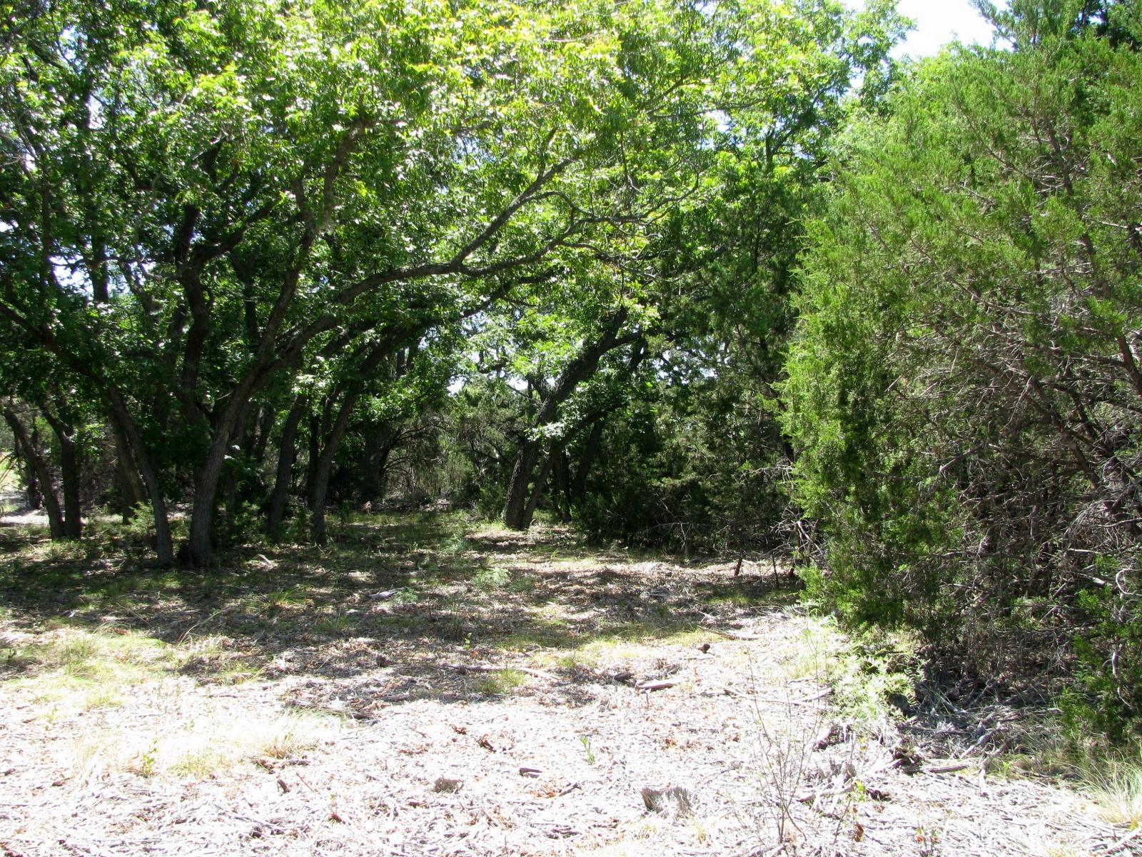 Tbd-lot 23 Ph 1 Pr4218 Evant TX 76525