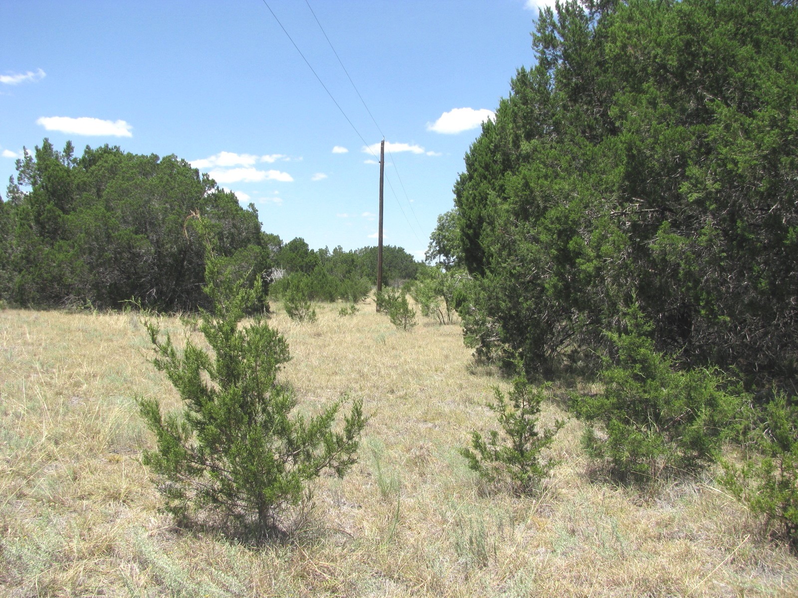 Tbd-lot 23 Ph 1 Pr4218 Evant TX 76525