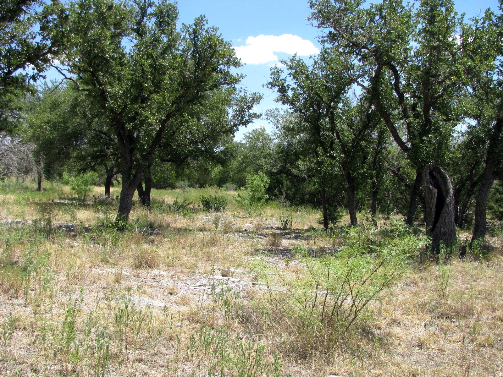 Tbd-lot 23 Ph 1 Pr4218 Evant TX 76525