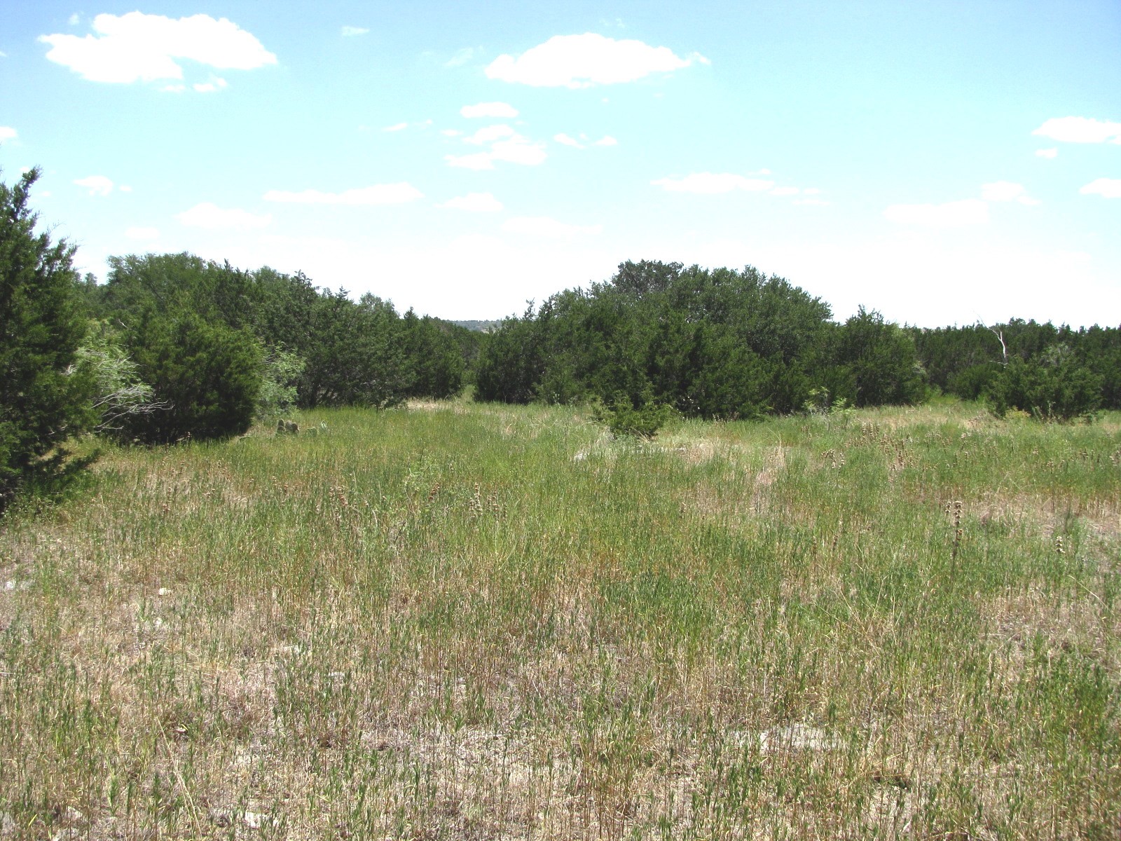 Tbd-lot 23 Ph 1 Pr4218 Evant TX 76525