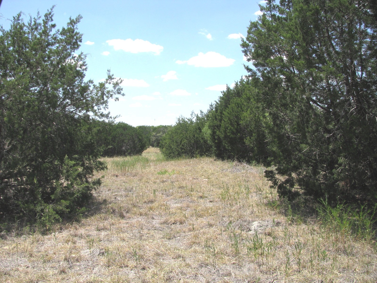 Tbd-lot 23 Ph 1 Pr4218 Evant TX 76525