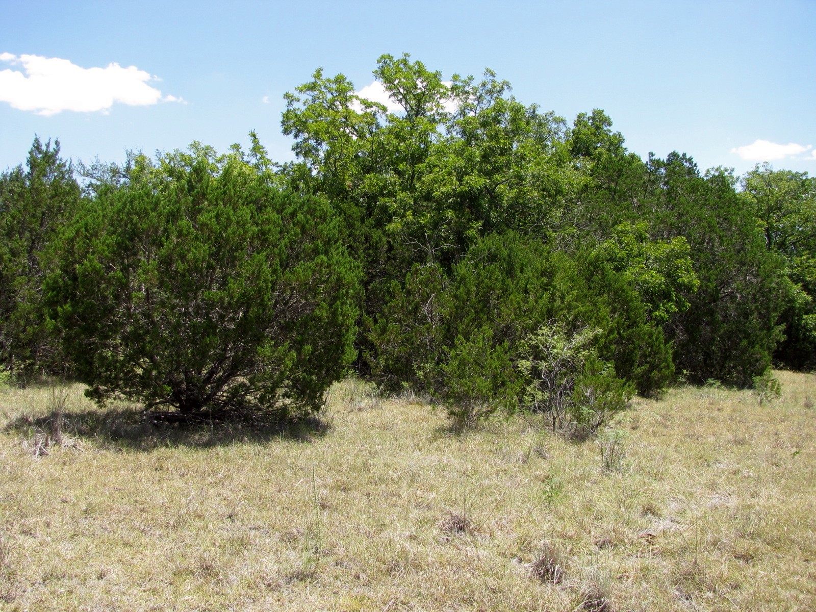 Tbd-lot 23 Ph 1 Pr4218 Evant TX 76525