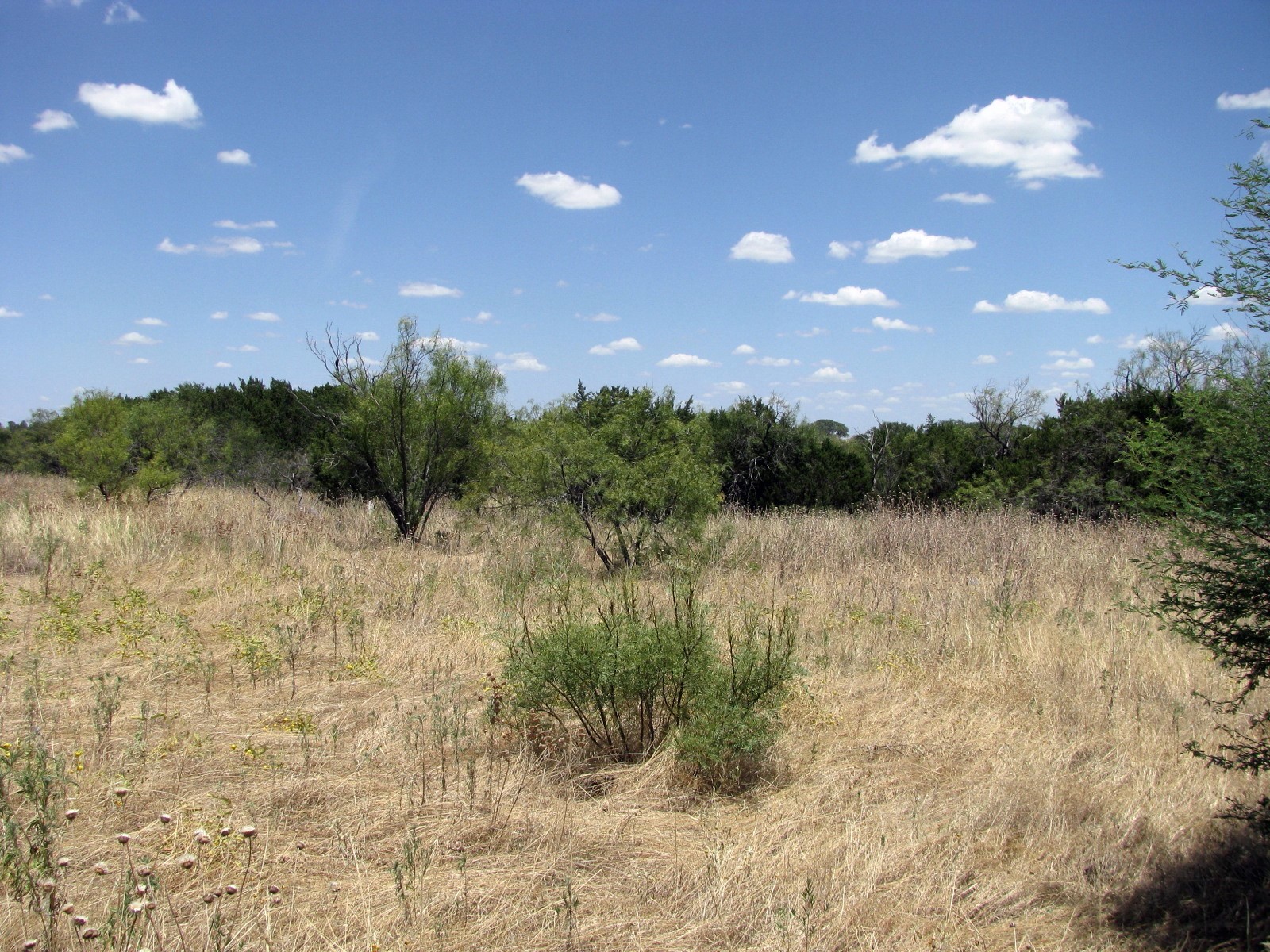 Tbd-lot 23 Ph 1 Pr4218 Evant TX 76525