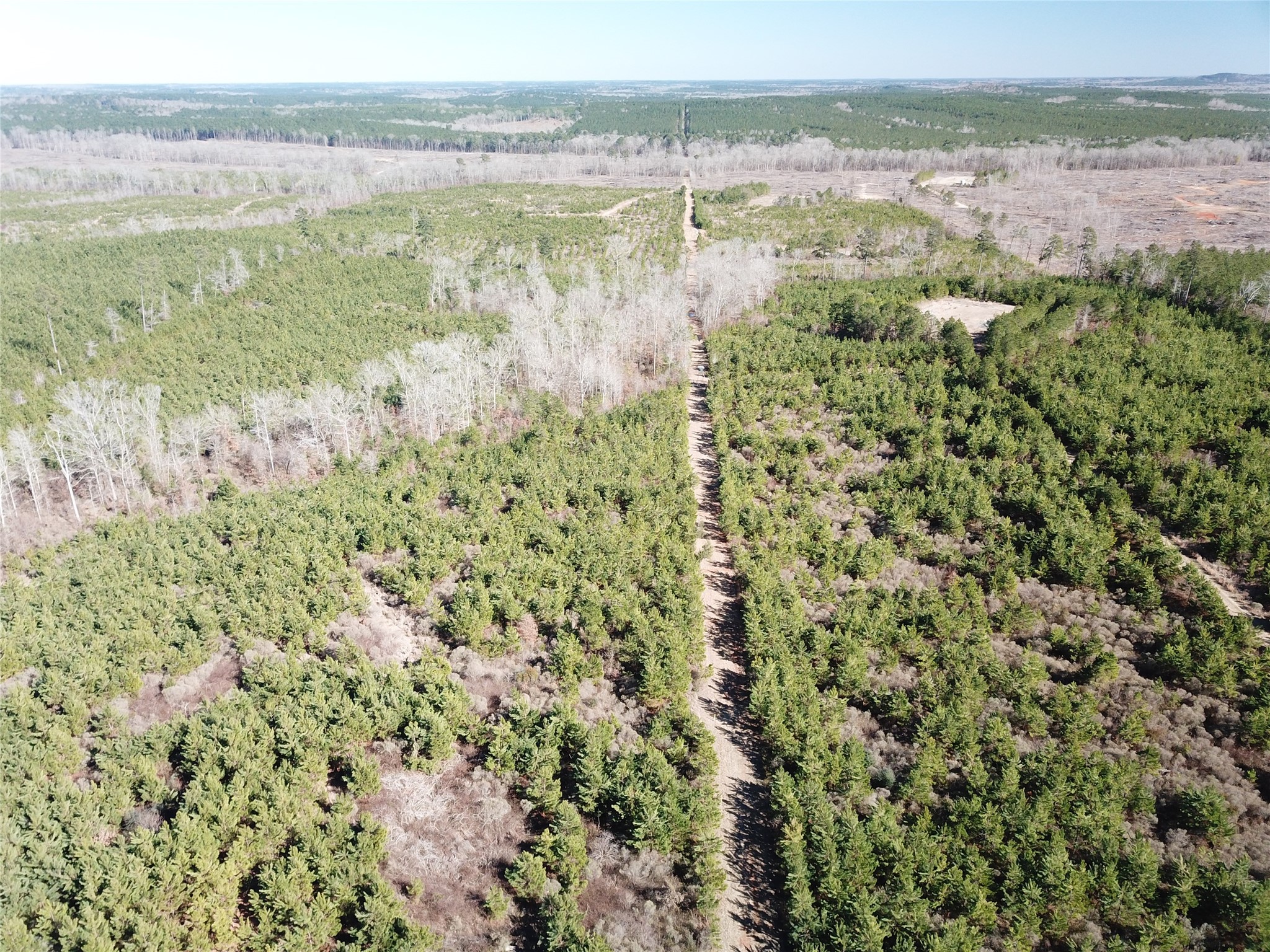 00 Off Highway 517 Gibsland LA 71028
