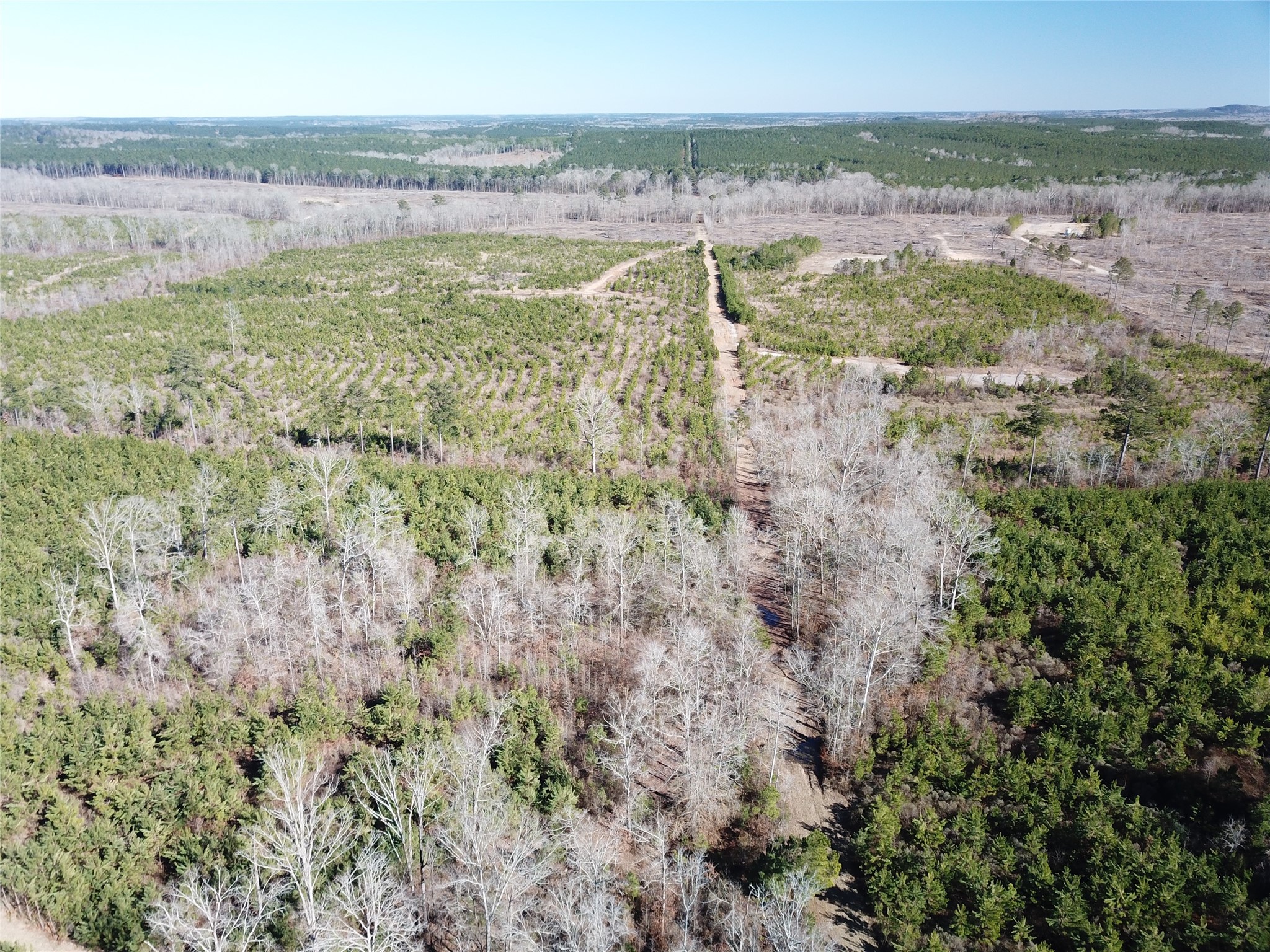 00 Off Highway 517 Gibsland LA 71028