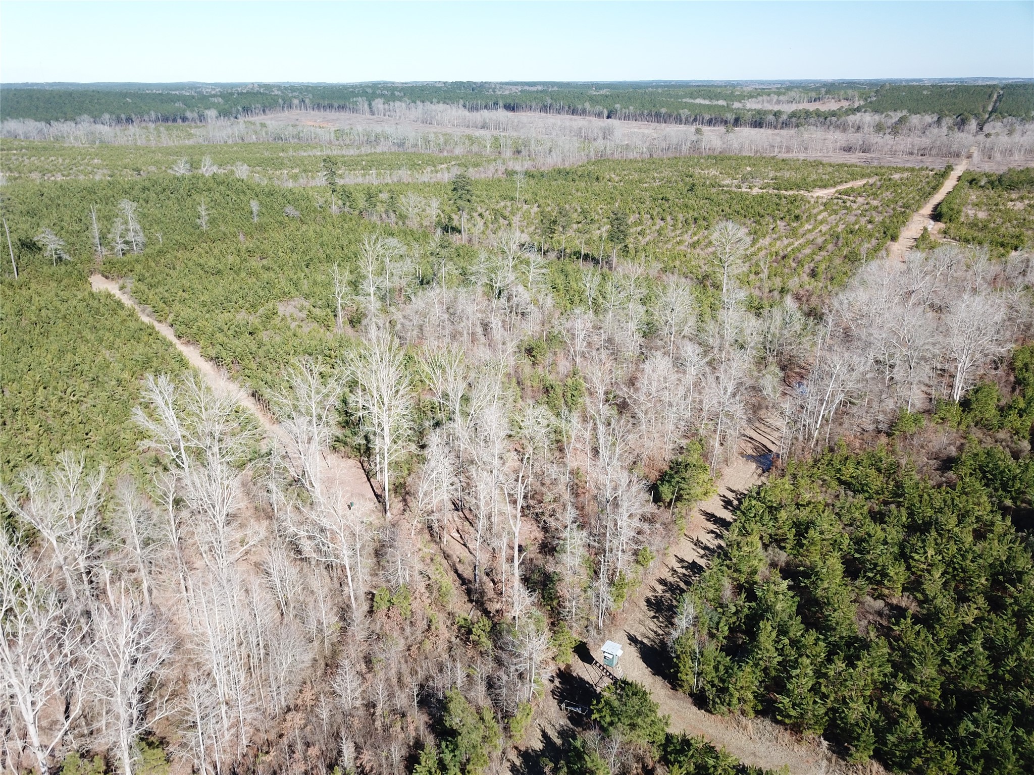 00 Off Highway 517 Gibsland LA 71028