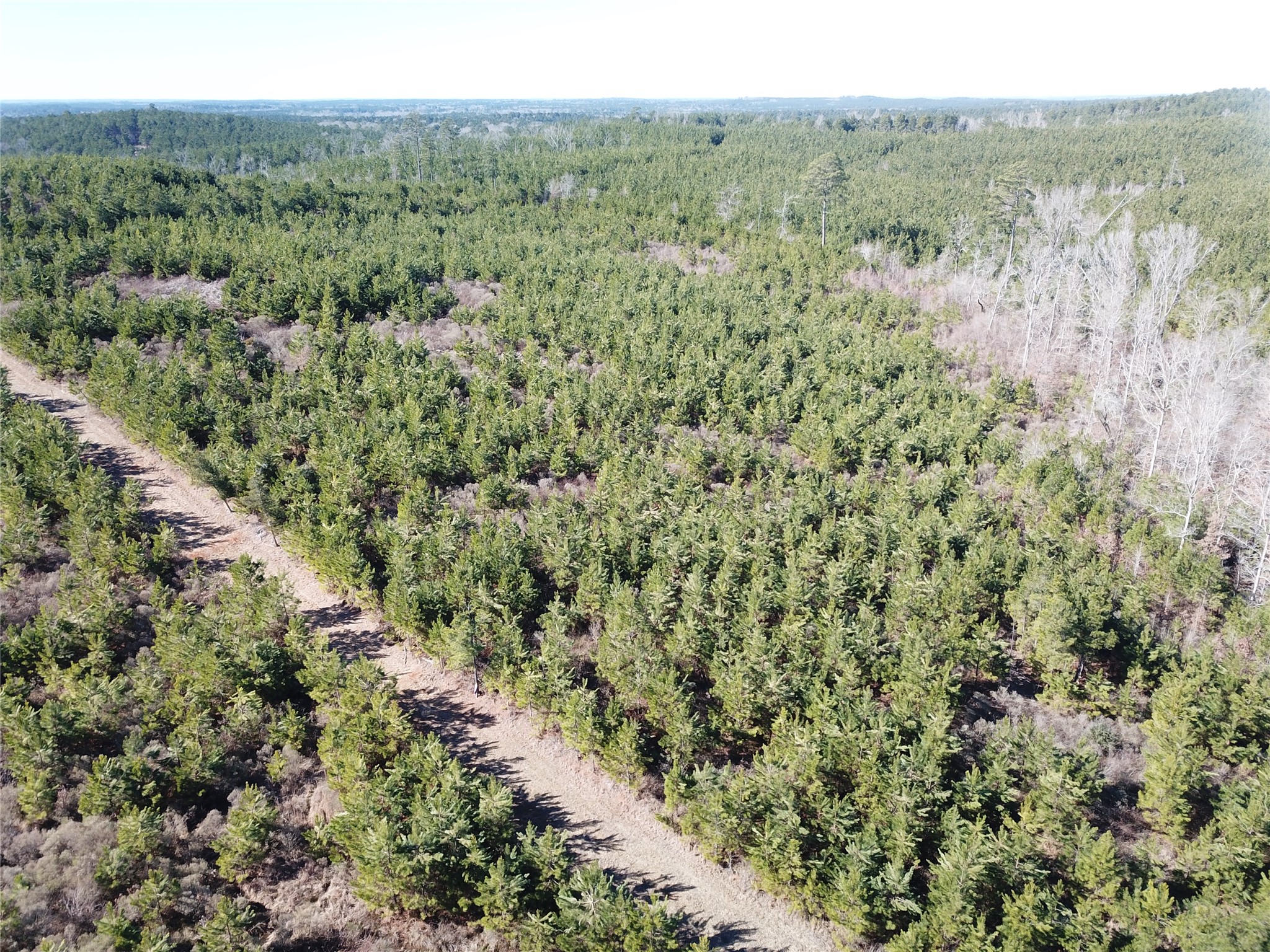 00 Off Highway 517 Gibsland LA 71028