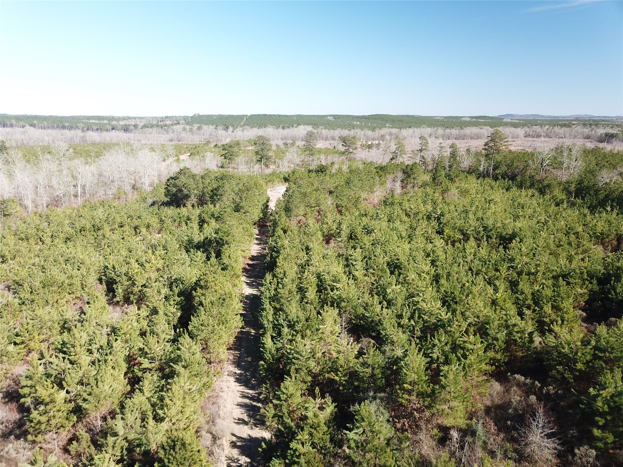 00 Off Highway 517 Gibsland LA 71028