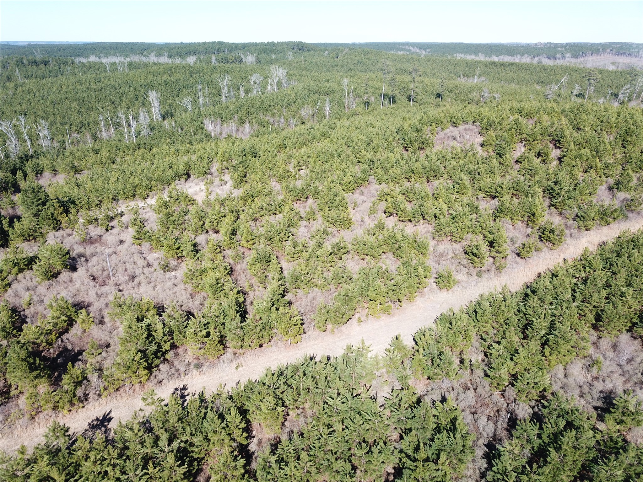 00 Off Highway 517 Gibsland LA 71028