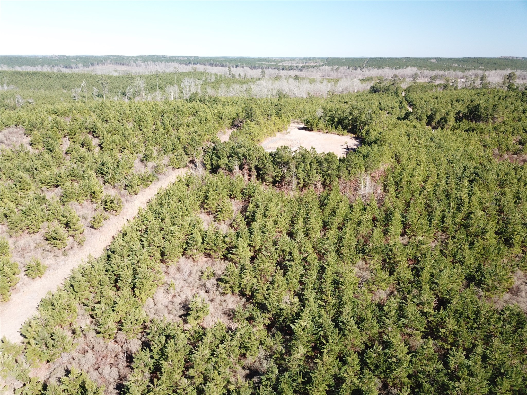00 Off Highway 517 Gibsland LA 71028