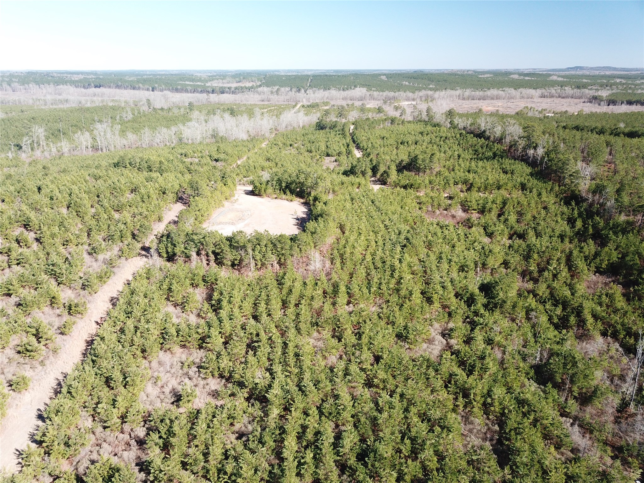 00 Off Highway 517 Gibsland LA 71028