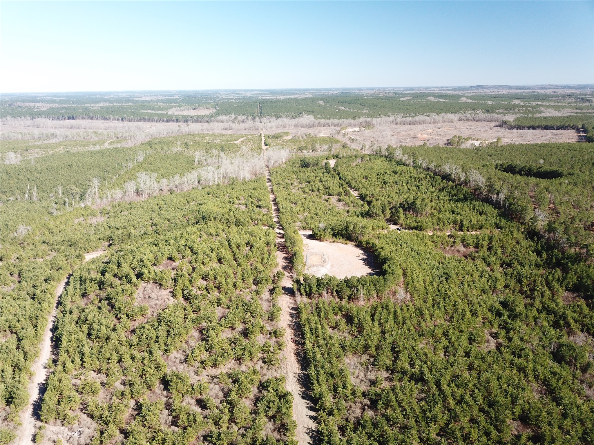 00 Off Highway 517 Gibsland LA 71028