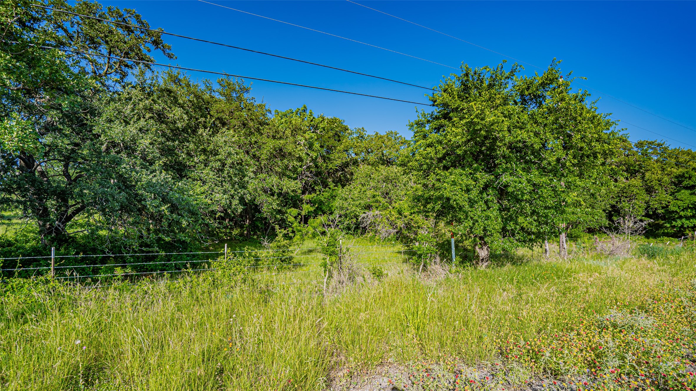 4101 Hill City Highway Tolar TX 76476