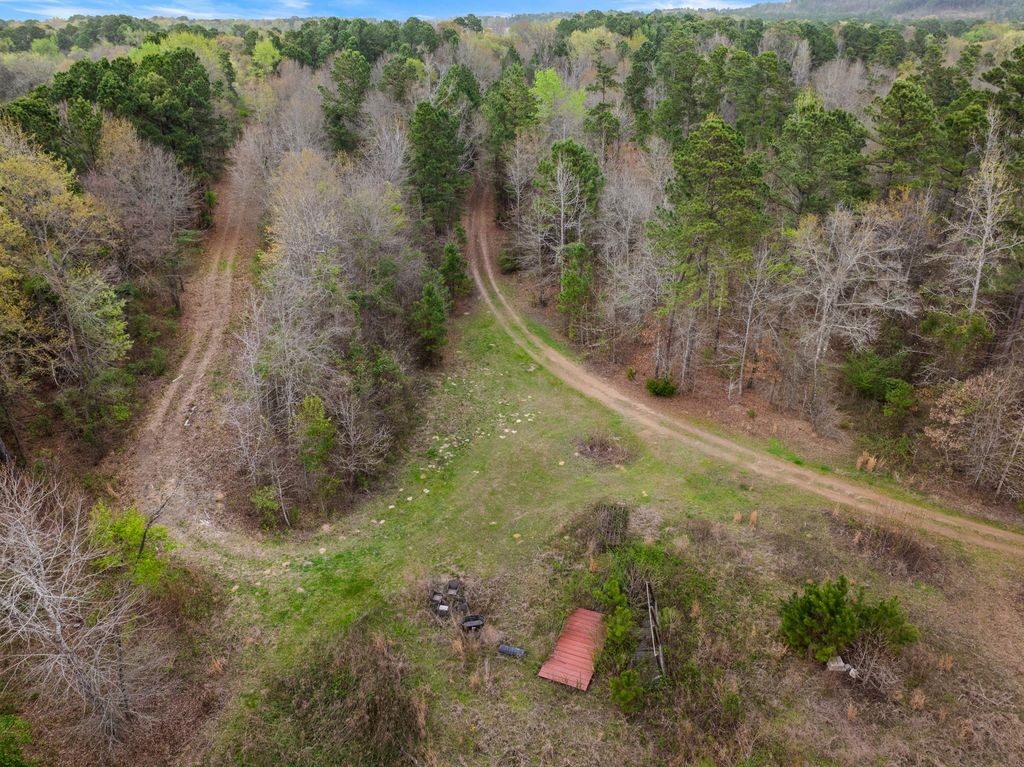 CR1124 Old Highway 11 Road Daingerfield TX 75638
