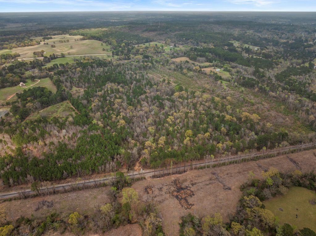 CR1124 Old Highway 11 Road Daingerfield TX 75638